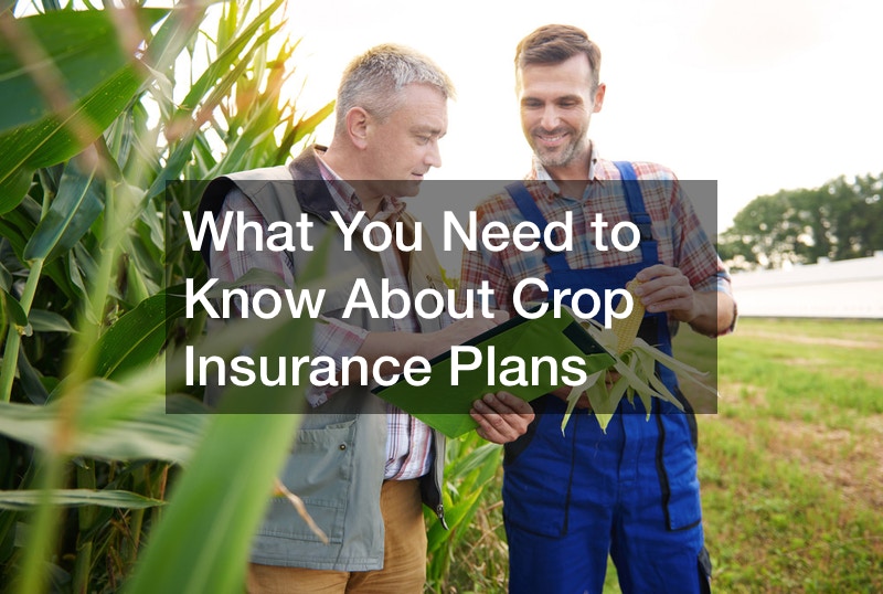 What You Need to Know About Crop Insurance Plans